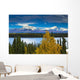 Scenic View Of Mt Sanford And Mt Drum Wall Mural