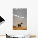 Brown Bear Standing On Ridge Wall Mural