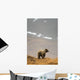 Brown Bear Standing On Ridge Wall Mural