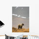 Brown Bear Standing On Ridge Wall Mural