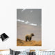 Brown Bear Standing On Ridge Wall Mural
