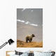 Brown Bear Standing On Ridge Wall Mural