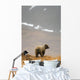 Brown Bear Standing On Ridge Wall Mural
