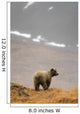 Brown Bear Standing On Ridge Wall Mural