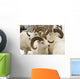 Group Of Dall Sheep Denali National Park Interior Alaska Fall Wall Mural