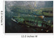 Closeup Of Chum Salmon Underwater @ Dipac Hatchery, Juneau Alaska Wall Mural