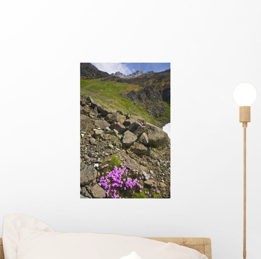Scenic View Of Moss Campion Wildflowers Growing Above Root Glacier Wall Mural