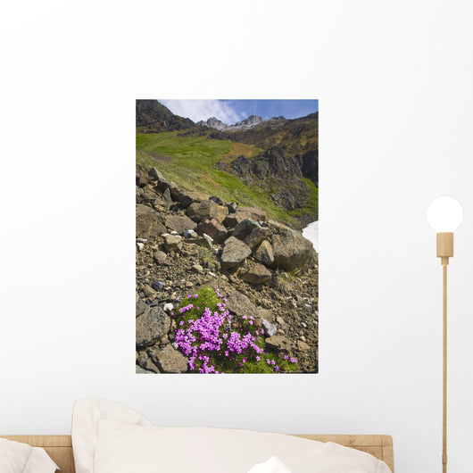 Scenic View Of Moss Campion Wildflowers Growing Above Root Glacier Wall Mural
