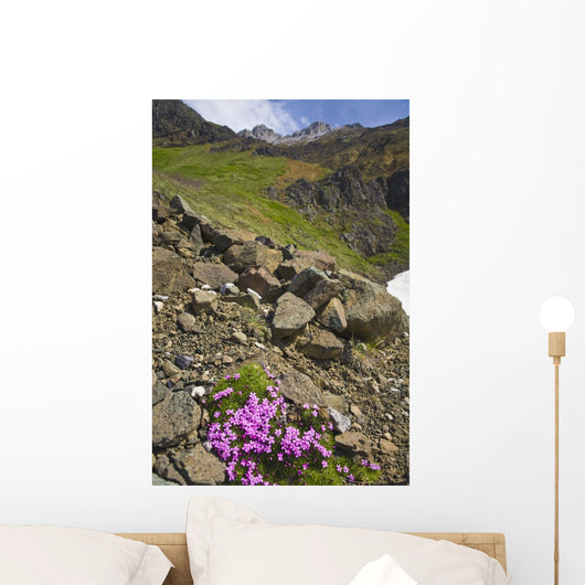 Scenic View Of Moss Campion Wildflowers Growing Above Root Glacier Wall Mural