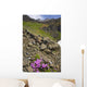 Scenic View Of Moss Campion Wildflowers Growing Above Root Glacier Wall Mural