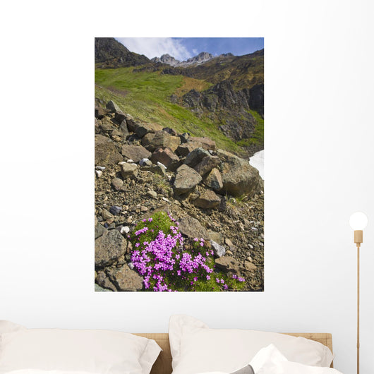 Scenic View Of Moss Campion Wildflowers Growing Above Root Glacier Wall Mural
