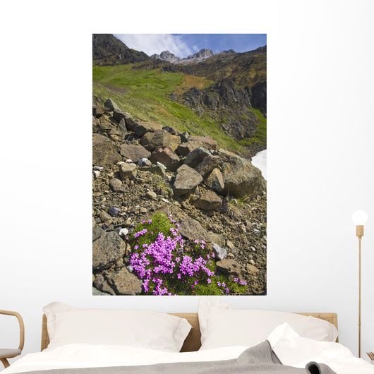 Scenic View Of Moss Campion Wildflowers Growing Above Root Glacier Wall Mural