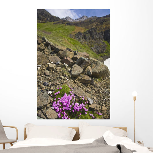 Scenic View Of Moss Campion Wildflowers Growing Above Root Glacier Wall Mural
