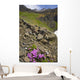 Scenic View Of Moss Campion Wildflowers Growing Above Root Glacier Wall Mural