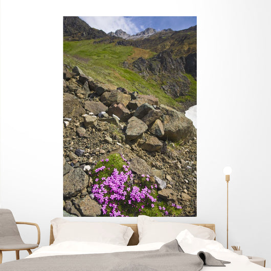 Scenic View Of Moss Campion Wildflowers Growing Above Root Glacier Wall Mural