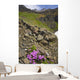 Scenic View Of Moss Campion Wildflowers Growing Above Root Glacier Wall Mural