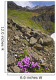 Scenic View Of Moss Campion Wildflowers Growing Above Root Glacier Wall Mural