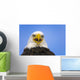 Perched Eagle Opens Beak To Call In Spring Homer Alaska Wall Mural