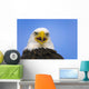 Perched Eagle Opens Beak To Call In Spring Homer Alaska Wall Mural