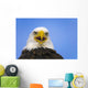 Perched Eagle Opens Beak To Call In Spring Homer Alaska Wall Mural