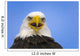 Perched Eagle Opens Beak To Call In Spring Homer Alaska Wall Mural
