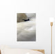 Trumpeter Swan Close-Up Anchorage Zoo Anchorage Ak Wall Mural