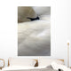 Trumpeter Swan Close-Up Anchorage Zoo Anchorage Ak Wall Mural