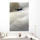 Trumpeter Swan Close-Up Anchorage Zoo Anchorage Ak Wall Mural