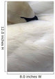 Trumpeter Swan Close-Up Anchorage Zoo Anchorage Ak Wall Mural