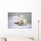Polar Bear Lying On The Ice Churchill Manitoba Canada Spring Wall Mural
