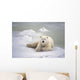 Polar Bear Lying On The Ice Churchill Manitoba Canada Spring Wall Mural