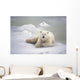 Polar Bear Lying On The Ice Churchill Manitoba Canada Spring Wall Mural