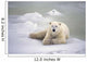 Polar Bear Lying On The Ice Churchill Manitoba Canada Spring Wall Mural