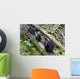 Mama Bear And Two Cubs Wall Mural
