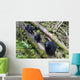 Mama Bear And Two Cubs Wall Mural