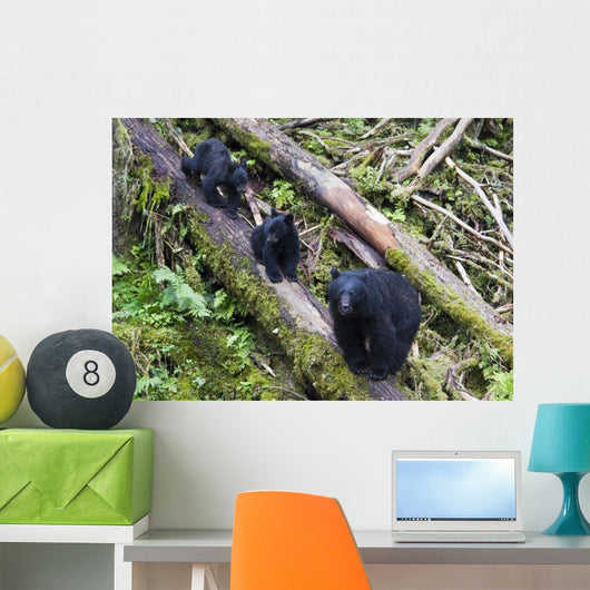 Mama Bear And Two Cubs Wall Mural