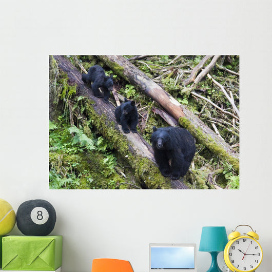 Mama Bear And Two Cubs Wall Mural