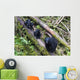 Mama Bear And Two Cubs Wall Mural