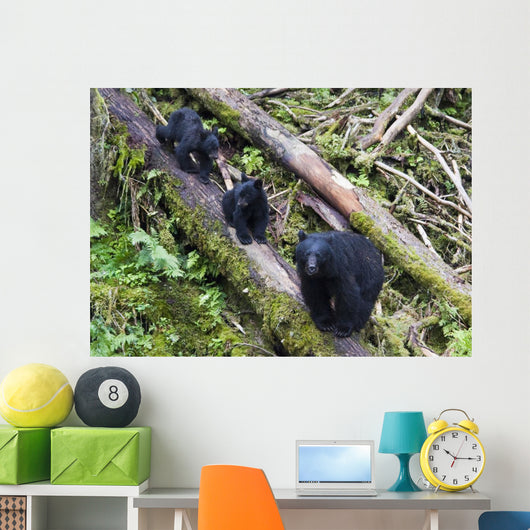 Mama Bear And Two Cubs Wall Mural