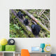 Mama Bear And Two Cubs Wall Mural