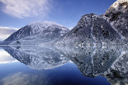 Winter Scenic Of Walker Cove Wall Mural