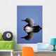 Closeup Of Pacific Loon Wall Mural