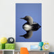Closeup Of Pacific Loon Wall Mural
