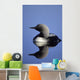 Closeup Of Pacific Loon Wall Mural