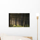 Old Growth Forest Yakutat Tongass Natl Forest Se Ak Wall Mural