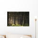 Old Growth Forest Yakutat Tongass Natl Forest Se Ak Wall Mural