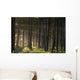 Old Growth Forest Yakutat Tongass Natl Forest Se Ak Wall Mural