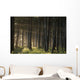 Old Growth Forest Yakutat Tongass Natl Forest Se Ak Wall Mural