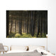 Old Growth Forest Yakutat Tongass Natl Forest Se Ak Wall Mural
