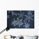Frost Crystal On Glass Kodiak Isl Southwest Ak Winter Detail Wall Mural